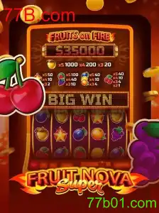 Explore o Mundo de FruitNovaSuper: Um Guia Completo para Jogadores